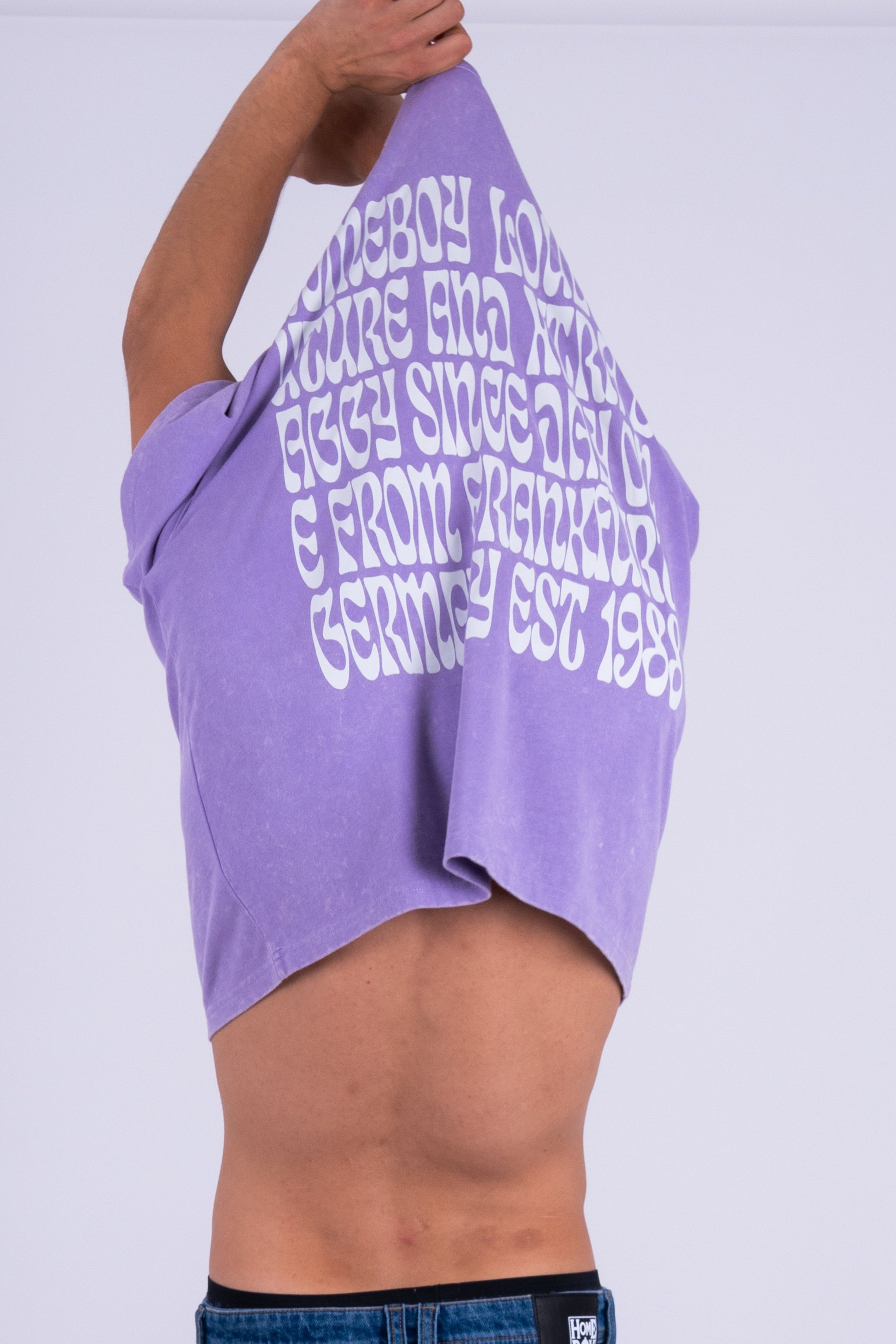 Homeboy - Big Text Tee Washed Lilac Homeboy