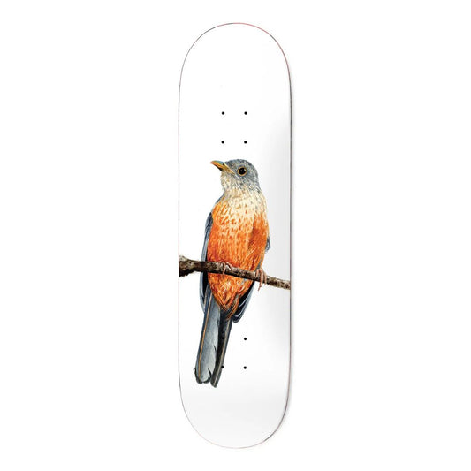 Deathwish Skateboards - Yuri Facchini Sabia-Laranjeira Deck 8.125"